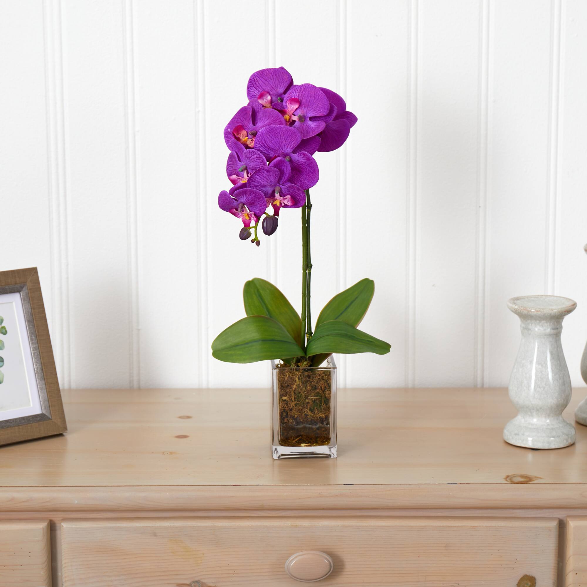 24" Purple Moth Orchid Arrangement in Vase
